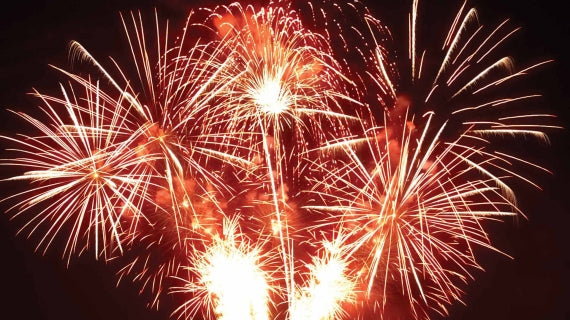 Tips for Helping Your Pet Cope During Fireworks Season