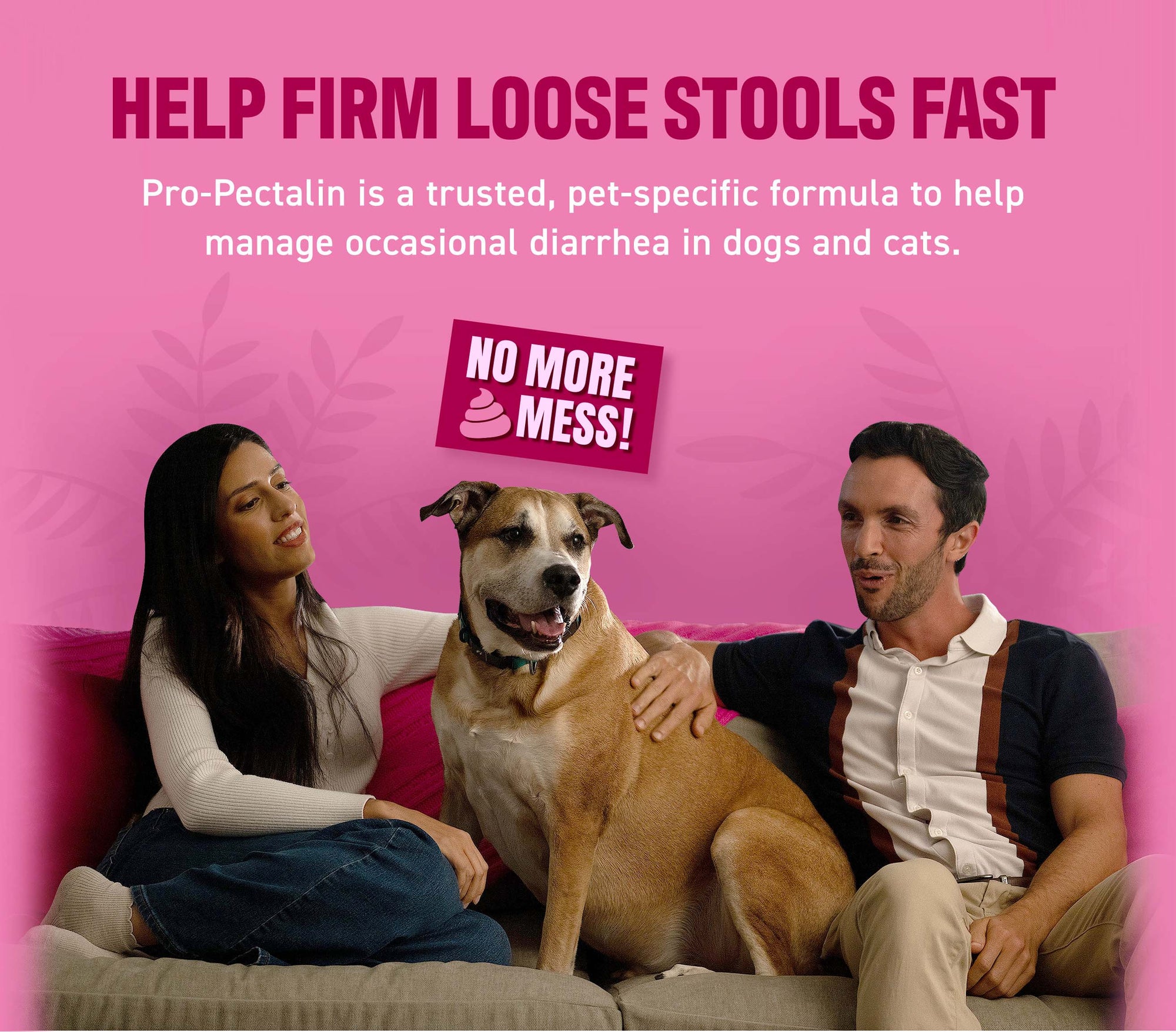Help Firm Loose Stools Fast
With A Pet Specific Formula for Dogs and Cats
Pro-Pectalin™ is a trusted, pet-specific formula to help manage occasional diarrhea in dogs and cats.
